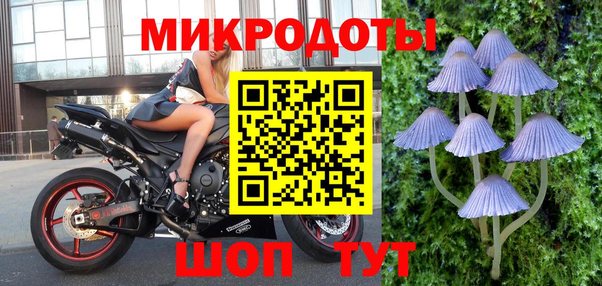 Галлюциногенные грибы Cubensis  Вход с VPN  Москва 